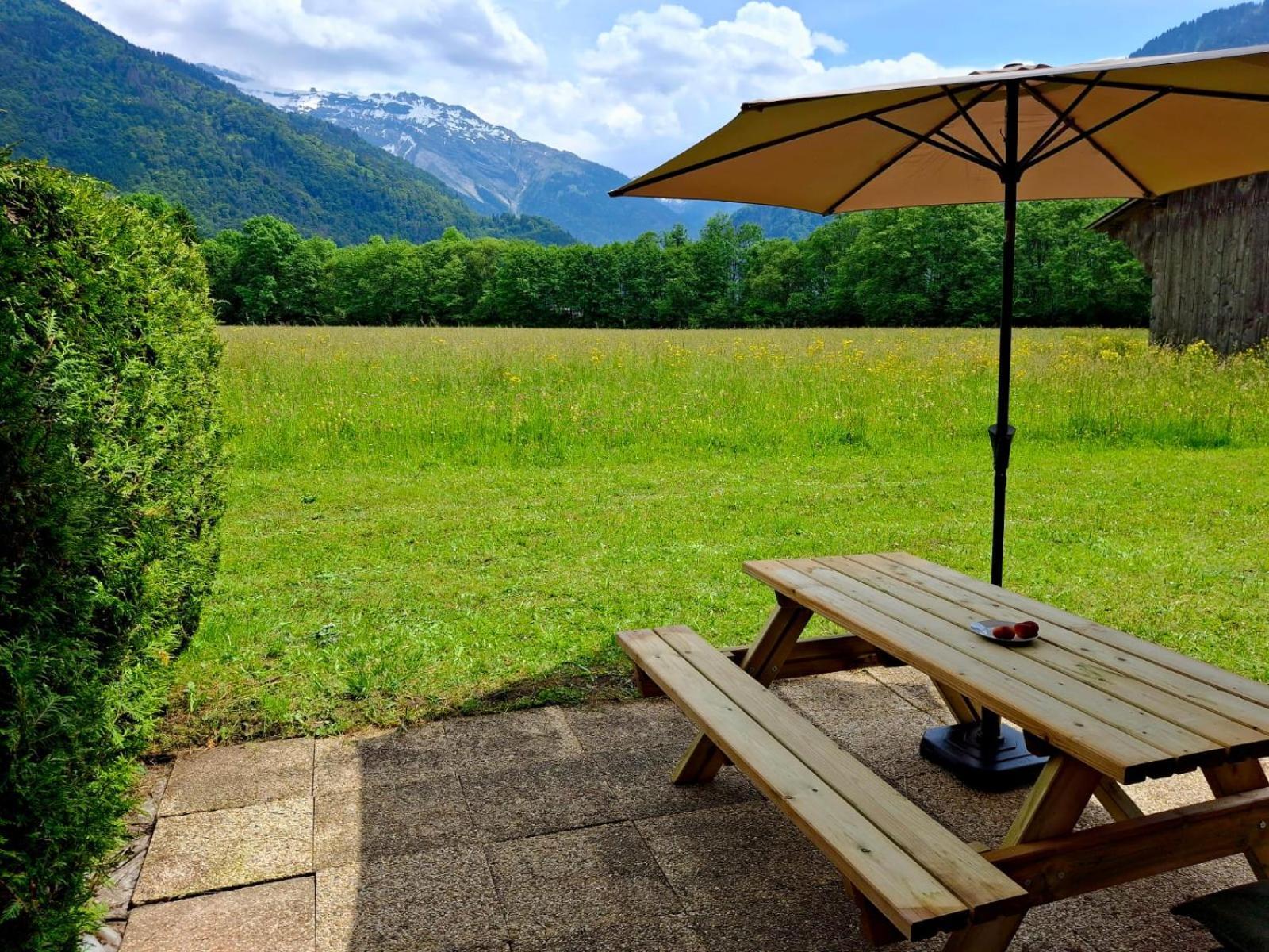 Appartement Renove T2, Vue Montagne Samoëns Exteriér fotografie